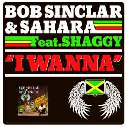 Bob Sinclar feat. Sahara and Shaggy I Wanna single cover Costi Ionita and Andrea